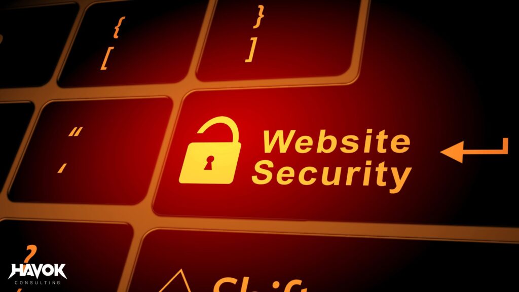 website security, web security, havok consulting
