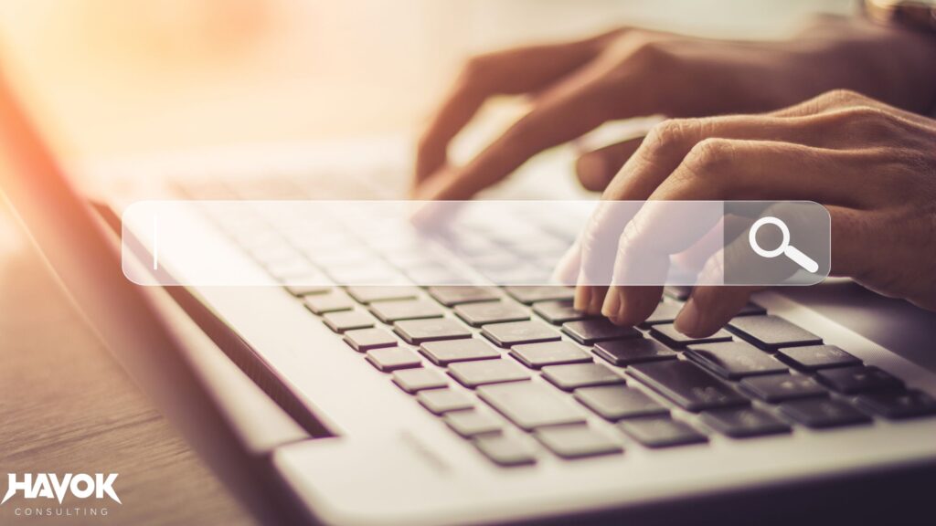 basic seo, seo for small business, local seo, havok consulting, local search engine optimization
